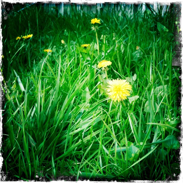 It's the Simplest things...