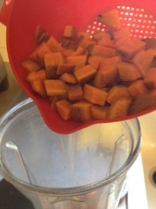 Once the potatoes are very fork tender, I put them into my vitamix. 